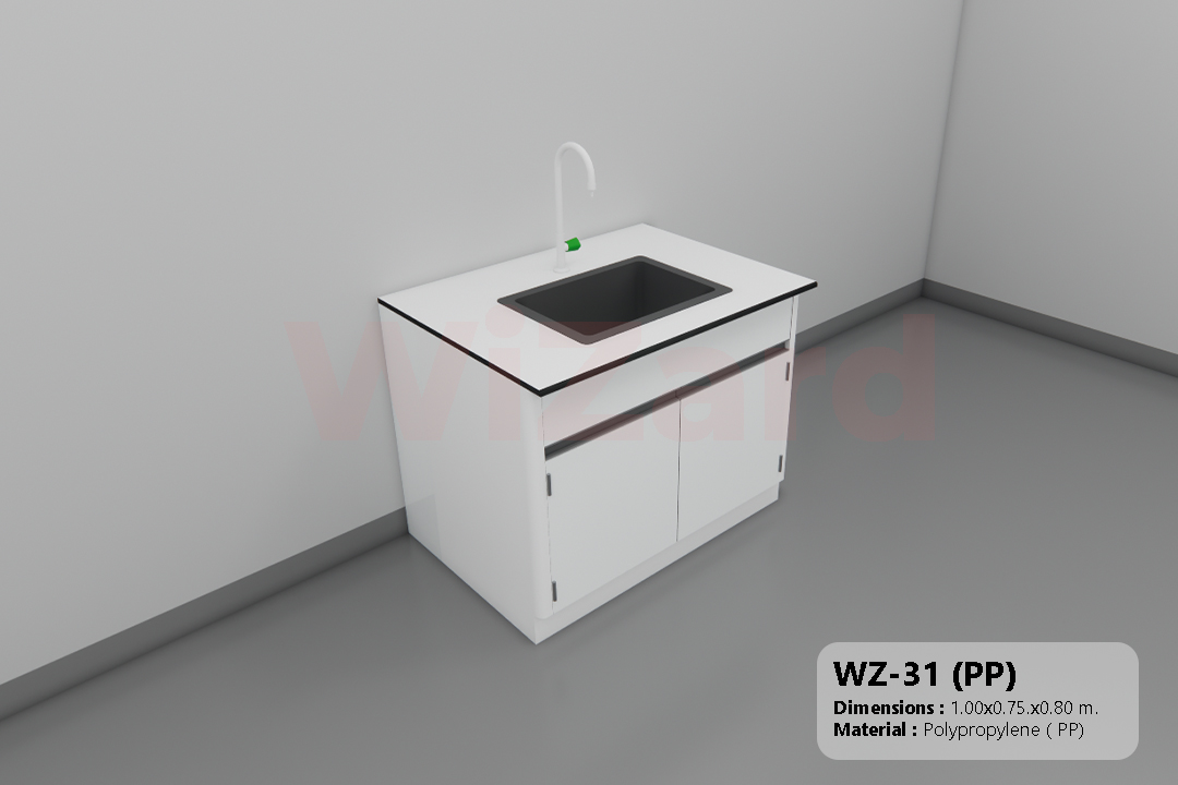 WZ-31 (PP)