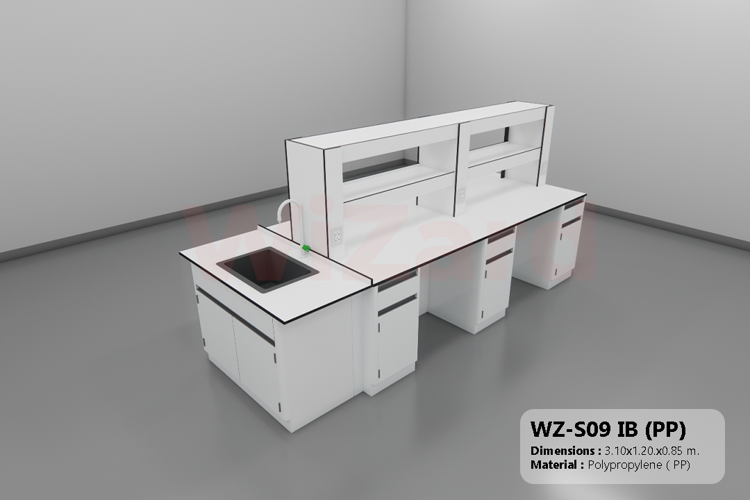 WZ-S09 IB (PP)