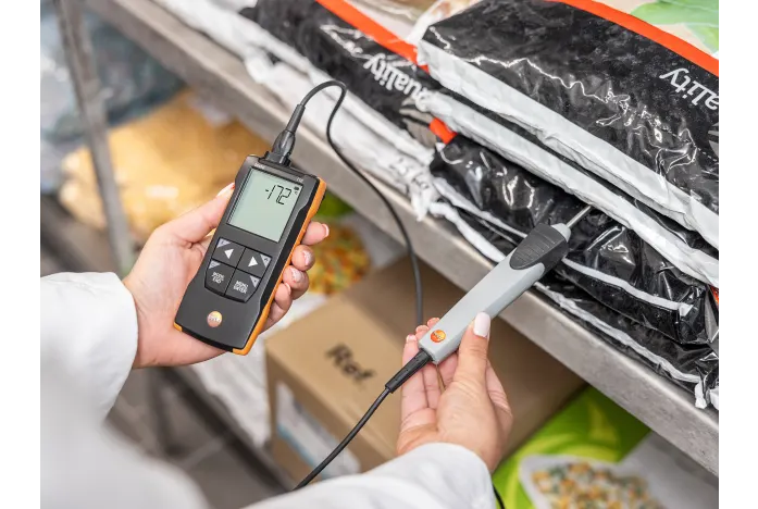 testo-110-frozen-food-immersion-temperature