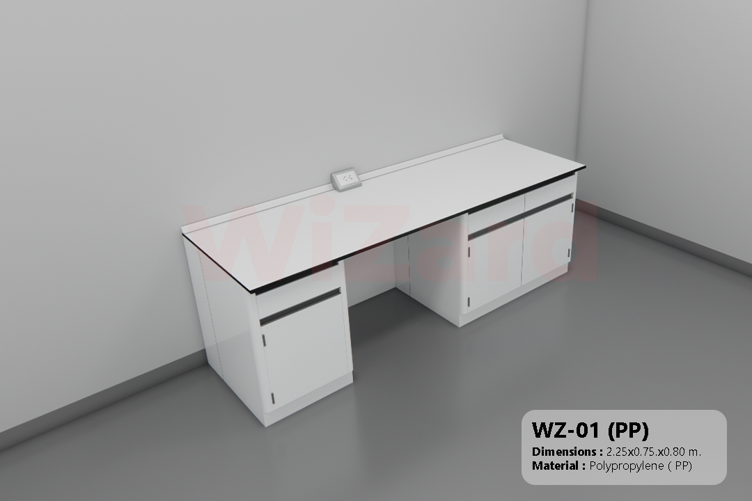 WZ-01 (PP)